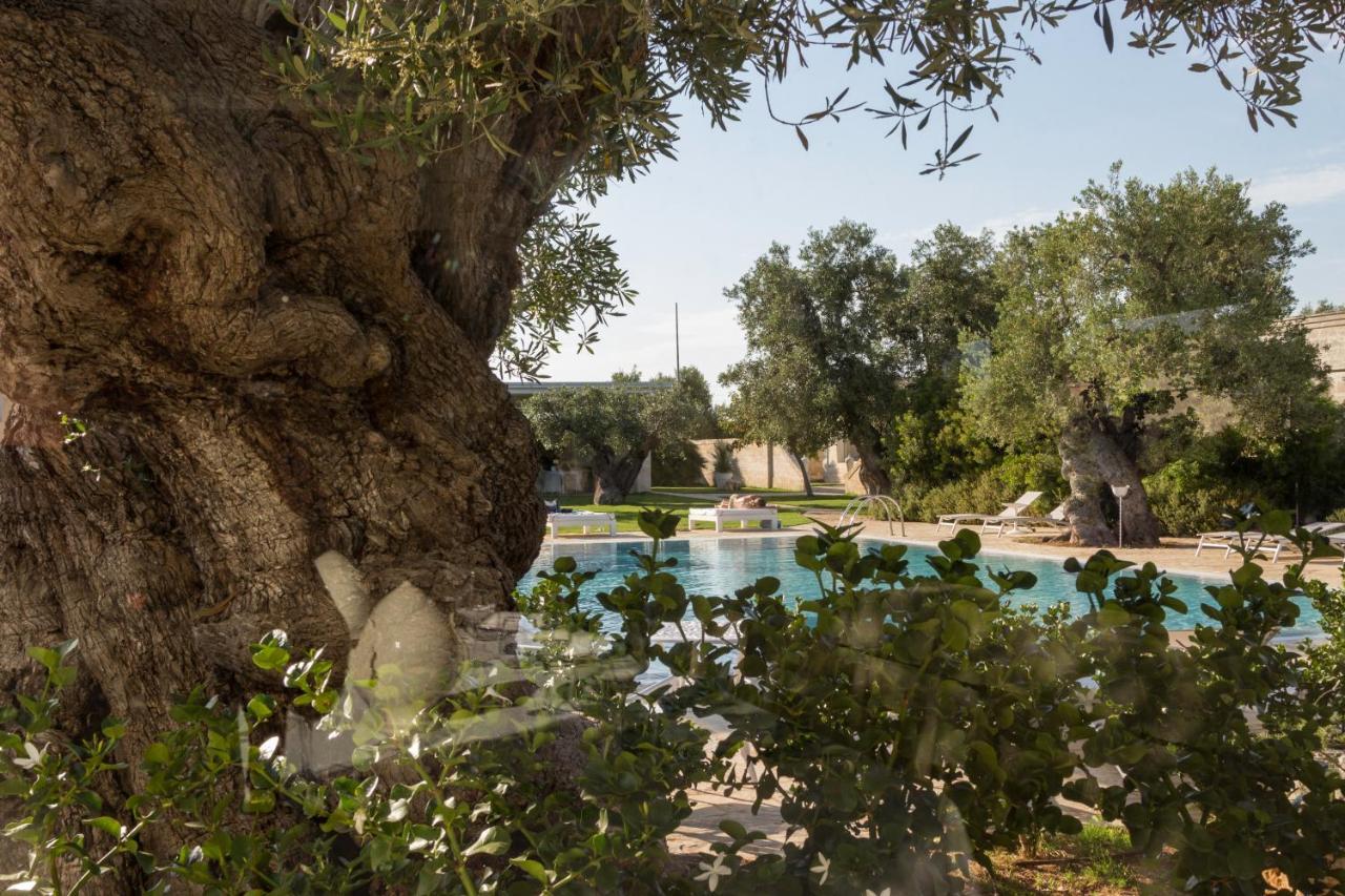 Masseria Torre Del Diamante Torre Canne Exteriör bild