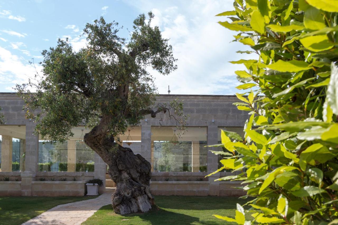 Masseria Torre Del Diamante Torre Canne Exteriör bild