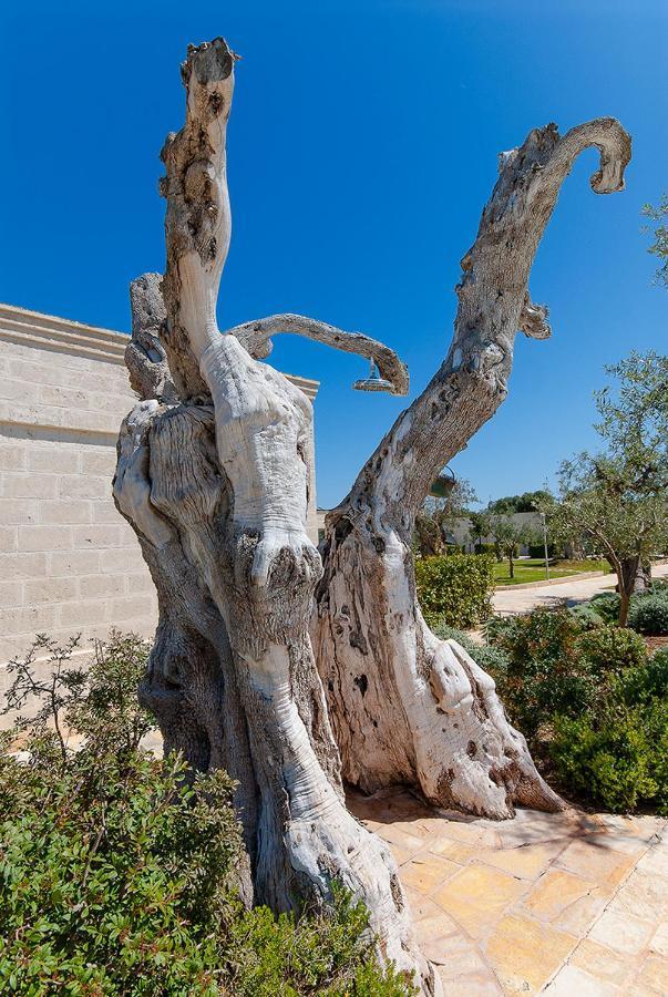 Masseria Torre Del Diamante Torre Canne Exteriör bild