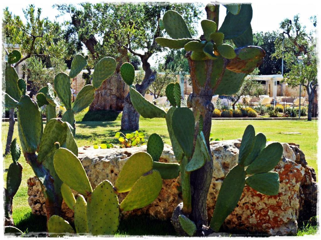 Masseria Torre Del Diamante Torre Canne Exteriör bild